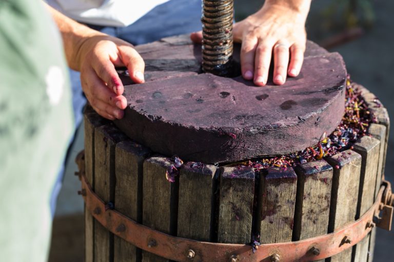 Luxurious Wines Making process